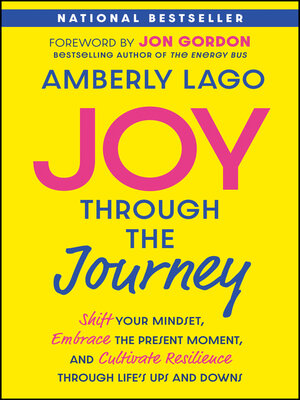 Joy Through the Journey - ebook